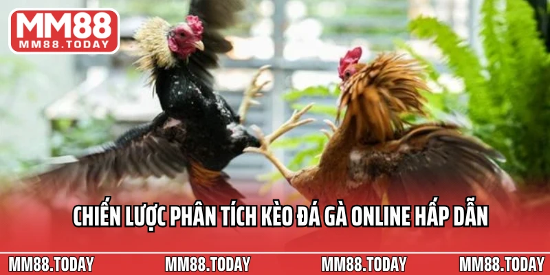 Chiến lược phân tích kèo đá gà online hấp dẫn